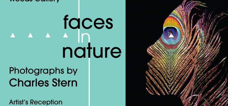 “Faces in Nature” – Photographs by Charles Stern